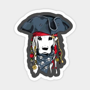 Pirates Magnet