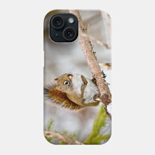 Red Squirrel Phone Case