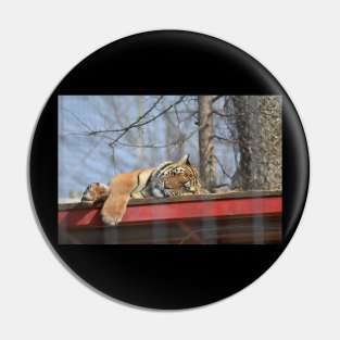 Tiger Pin