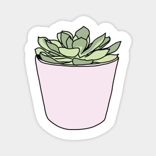 Green succulent in pink flowerpots Magnet