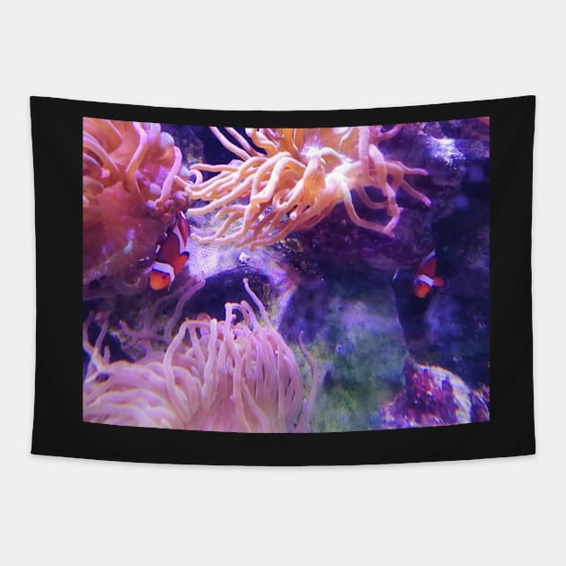 Clown fish in the anemone Tapestry by DesignsBySaxton