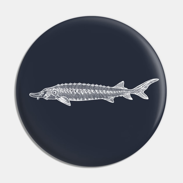 Common Sturgeon fish drawing for animal lovers Pin by Green Paladin