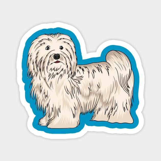 Havanese dog cartoon illustration Magnet by Cartoons of fun