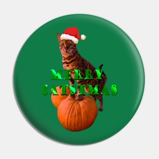 merry christmas with cat Pin