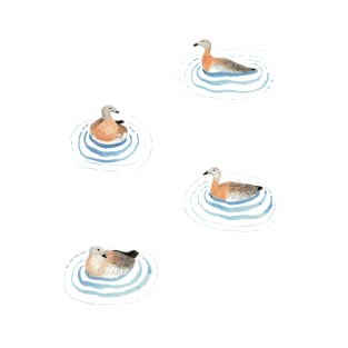 Hand painted ducks swimming in a summer lake T-Shirt