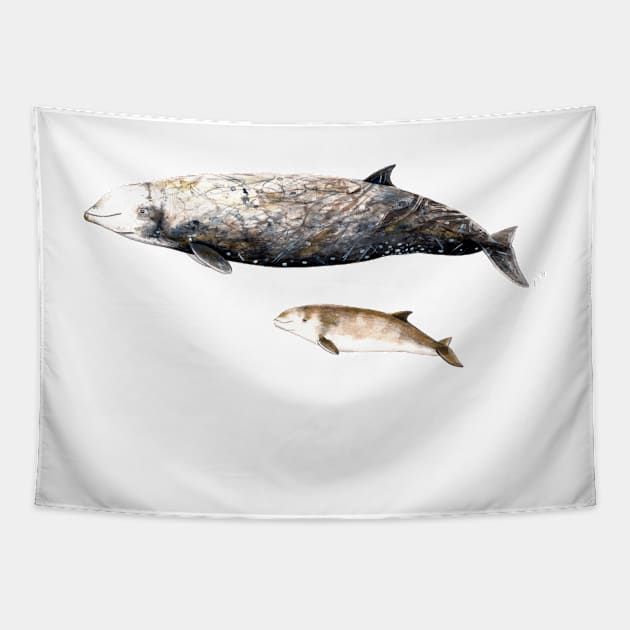 Cuvier´s beaked whale Tapestry by chloeyzoard