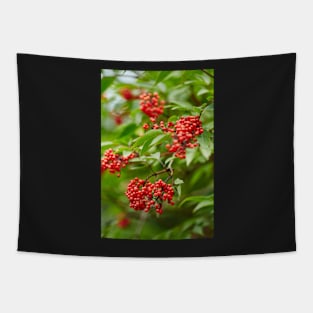 Red Rowan tree berries on branches Tapestry