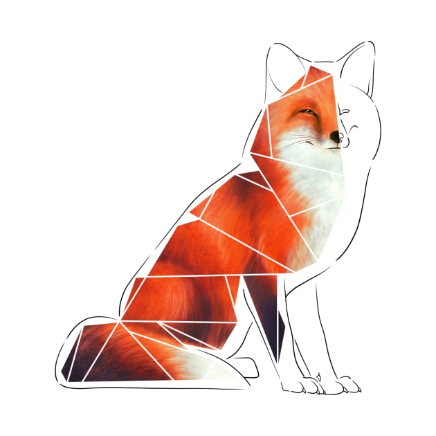 Red Fox by ImaginativeWild