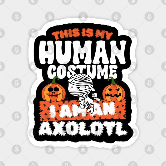 This is my human costume im  an Axolotl Magnet by Myartstor 