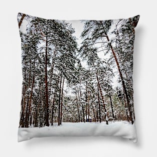 View at the Striginsky Bor Forest Park in Nizhny Novgorod with pine trees, snow, building Pillow