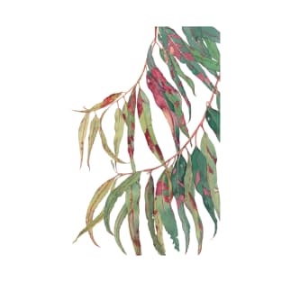 A touch of red - watercolour of eucalyptus branch T-Shirt