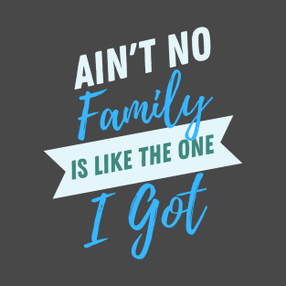 Aint No Family is like The One I Got- Typographic Design T-Shirt