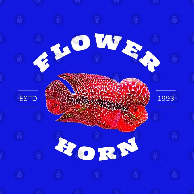 Luohan Flowerhorn Fish Cichlid estd in 1993 by luckycreation