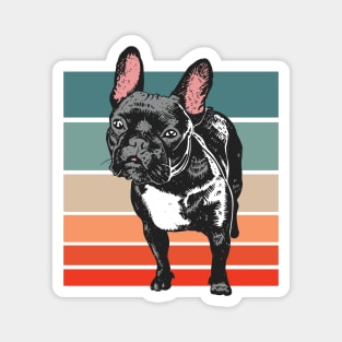 Vintage Black French Bulldog // Frenchie Dog Lover Magnet