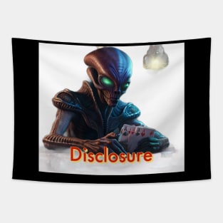 Disclosure Tapestry