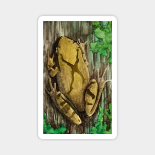 Spring Peeper Magnet