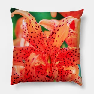 Display of Speckled Orange Tiger Lilies Pillow