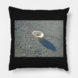 Shell Pillow