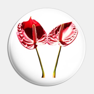 Antherium flowers Pin