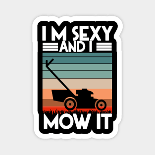 I'M SEXY AND I MOW IT Magnet