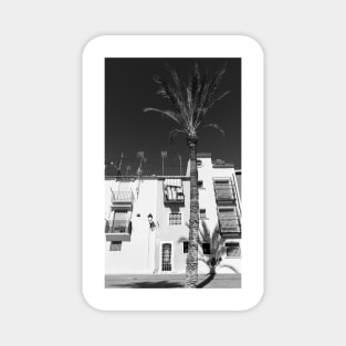 Black and image of typical Mediterranean apartments with tall palm Magnet