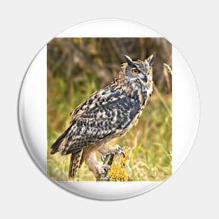 Eurasian Eagle Owl Pin