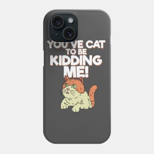 You've Cat to be Kidding Me Phone Case