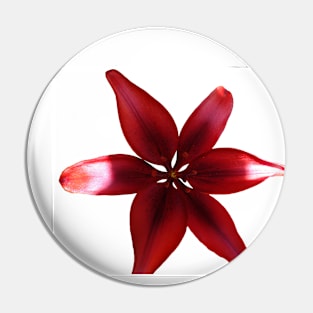 Red Tiger Lilly Flower Pin