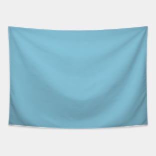 Sky Blue Plain Solid Color Tapestry