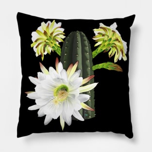 Trichocereus Pachanoi Flowering Pillow