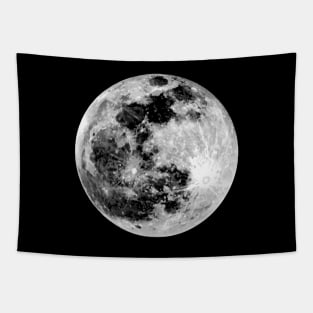 The Moon Tapestry