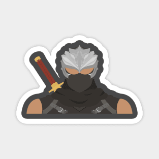 Ryu Hayabusa Vector Magnet