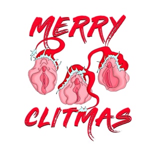 Merry Christmas Vulvas T-Shirt