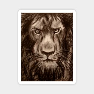 Lion - Charcoal drawing of a Lion Magnet