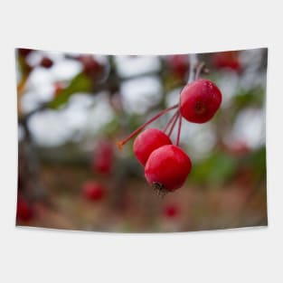 Crab apple crabapple thanksgiving Tapestry