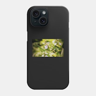 Speedwell wildflowers Phone Case