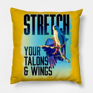 Stretch your talons & Wings Pillow