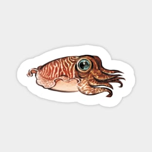 Cuttlefish Magnet