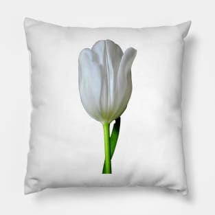 The White Tulip Pillow