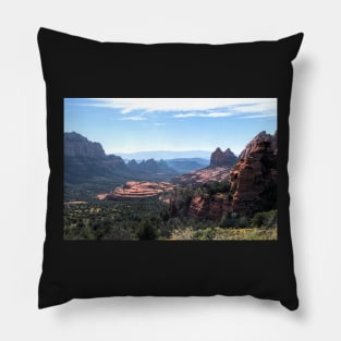 Cow Pie Mesa Pillow