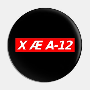 X Æ A-12 Pin