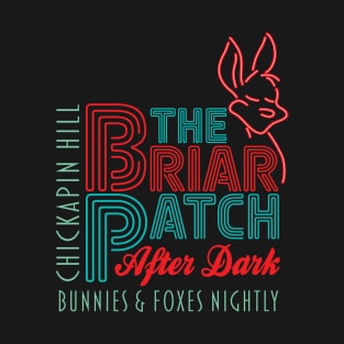 Front and Back - The Briar Patch After Dark - Splash Mountain T-Shirt