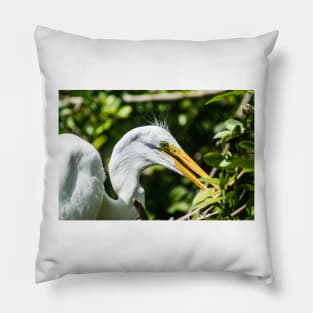 Great white egret in wildlife preserve Pillow