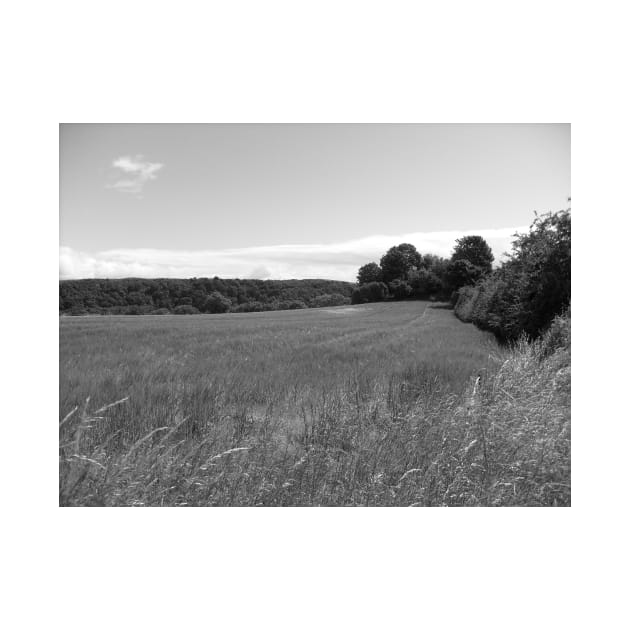 Millport Fields, Scotland. West Coast, off  the Isle of Cumbrae by grantwilson