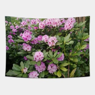 Abundant Flowers Tapestry