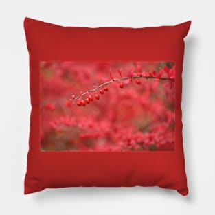 Close-up of red barberry Pillow