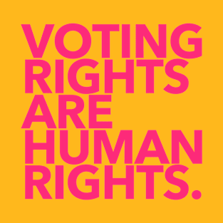 Voting Rights are Human Rights (hot pink 1) T-Shirt