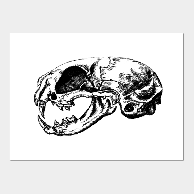 Anatomical Cat Skull | Animal Skeleton | Anatomical Art | Veterinarian Gift | Medical Student Gift - Cat Anatomy Skull Art Veterinarian Gift - Posters and Art Prints | TeePublic Anatomical Cat Skull | Animal Skeleton | Anatomical Art | Veterinarian Gift | Medical Student Gift - Cat Anatomy Skull Art Veterinarian Gift - Posters and Art Prints | TeePublic