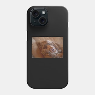 Sleepy Sussex Spaniel Phone Case