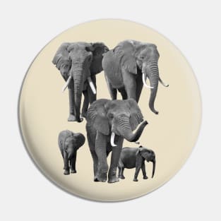 Elephants family - Elephant - Elis in Africa Pin